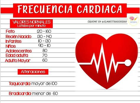 frecuencia cardíaca-4